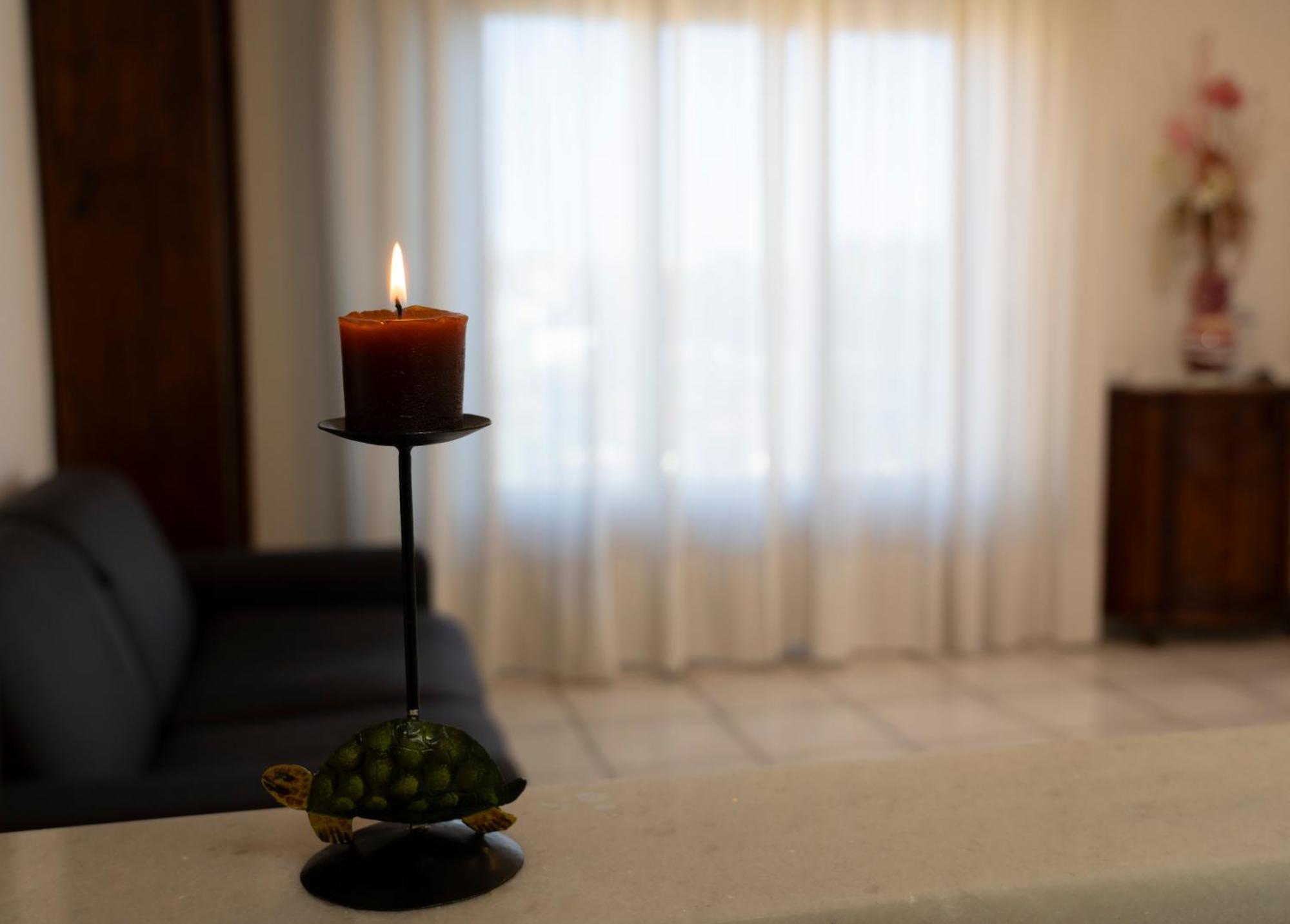 La Tartaruga Apartment Siena Ngoại thất bức ảnh
